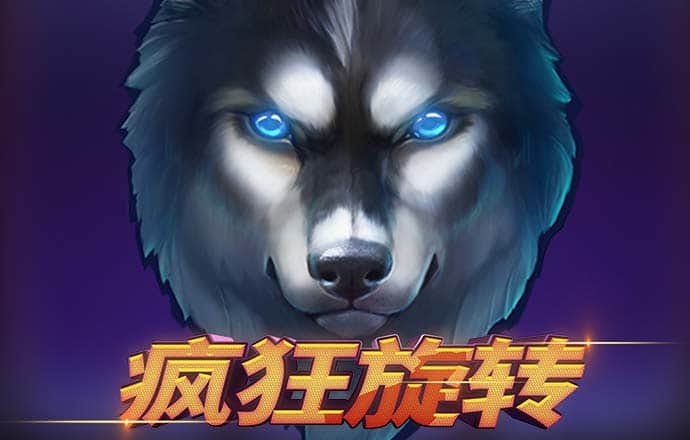 老鼠报论坛162019网址